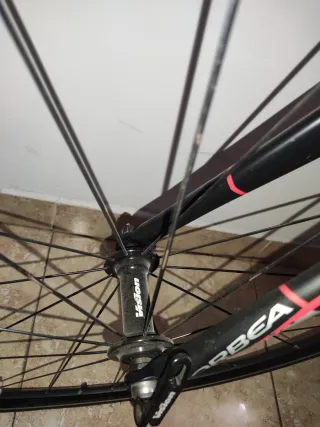 Orbea Avant 11v T.51 Carretera