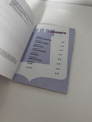 Rémi et le mystère de Saint-Peray