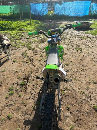 Pitbike 140cc 4t motor y pastas nuevas