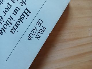 Historia de un idiota contada por él mismo