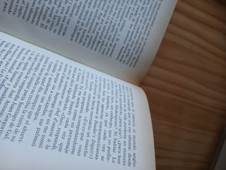 Historia de un idiota contada por él mismo