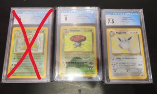 Cartas Pokémon Jungle Holo Ingles Graded