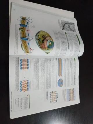 Código Bruño Biología 2 Bachillerato