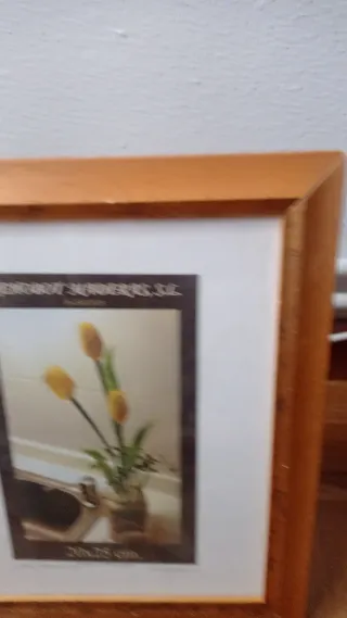 Marco de fotos 20x25 cm.