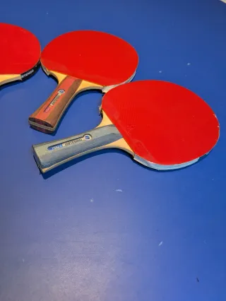 Lote 6 palas ping pong Artengo