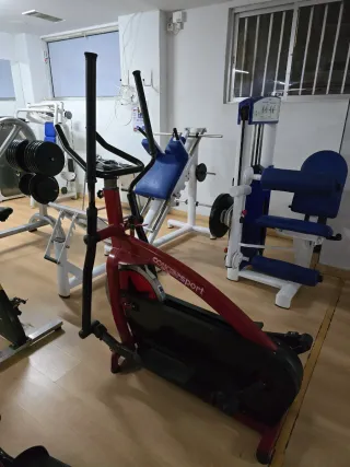 Elíptica de rueda de inercia