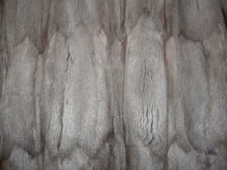 Abrigo Piel Petigris Siberiano Gris