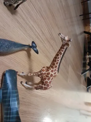 Lote animales salvajes