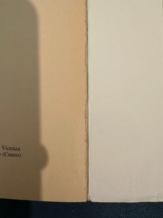 La ragazza con l'orecchino di perla