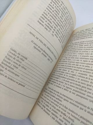 Historia y leyenda de Casas Viejas libro