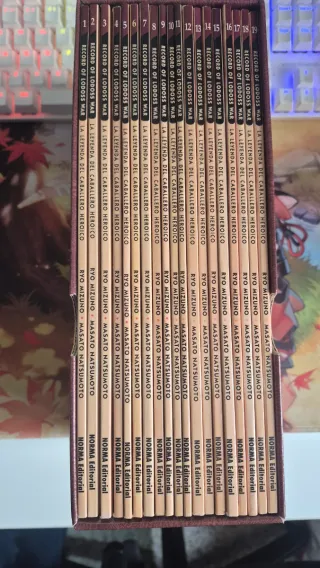 COFRE RECORD OF LODOSS WAR(19 TOMOS)