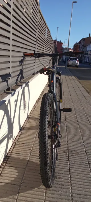 Bicicleta de Montaña