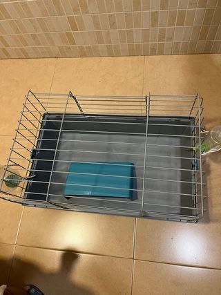 Jaula cobaya con accesorios