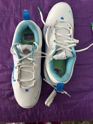 Zapatos Nike Blancos y Azules