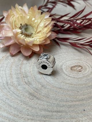 Charm Clip Disney Minnie Mickey