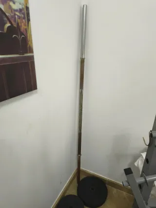 Banco de pesas con mancuernas y discos