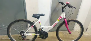 Bicicleta Denbike 24 pulgadas