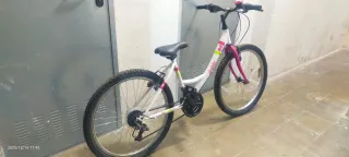 Bicicleta Denbike 24 pulgadas
