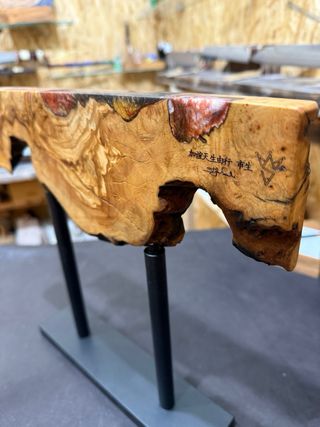 Ceppo portacoltelli magnetico legno e resina