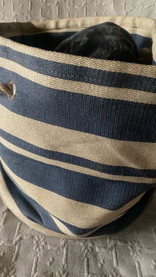 Capazo plegable rayas azules