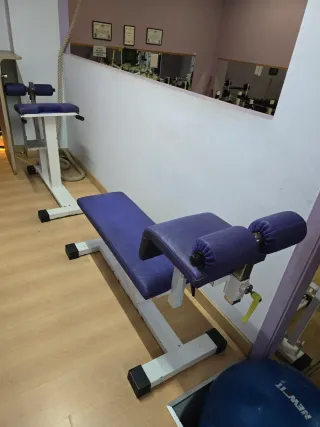 3 Máquinas Abdominales y lumbares Profesional