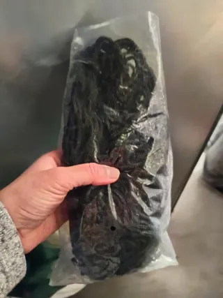 Red maletero ajustable con ganchos