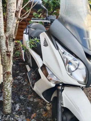 Honda SW 400 Scooter