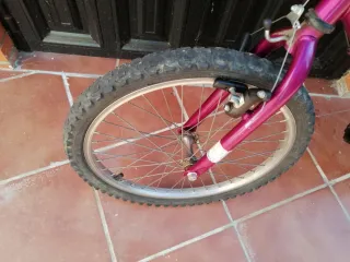 Bicicleta Taga Morada