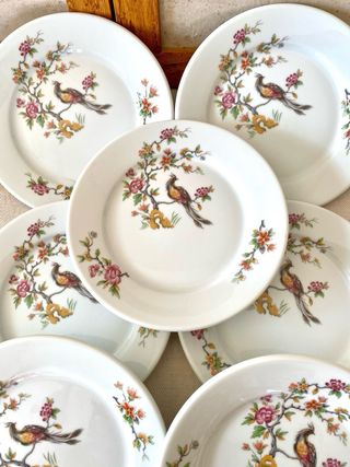 Lote 7 platos Apilco de porcelana vintage con ave