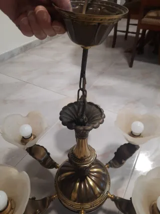 Lámpara de techo 6 tulipas