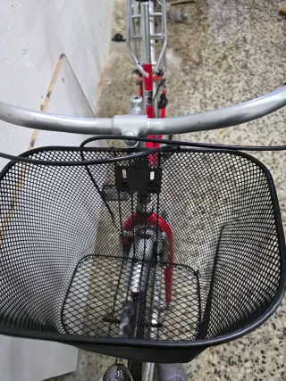 Bicicleta de paseo con cesta