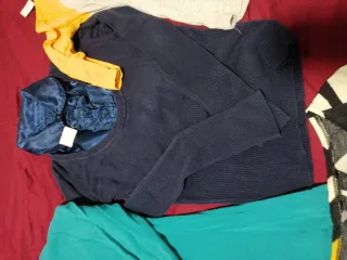 Lote de blusas multicolor