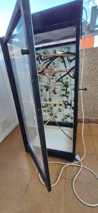 Terrario Vertical Camaleones Artesanal