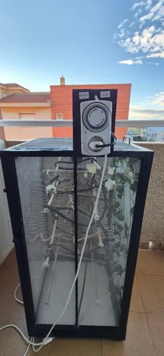 Terrario Vertical Camaleones Artesanal