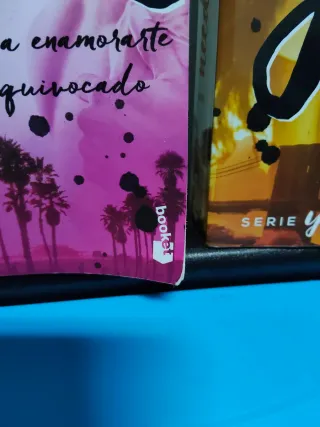 Libros saga " LOVE you"