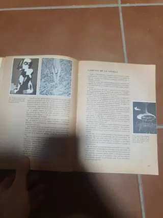 Literatura egb vintage