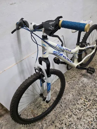 Bicicleta Montaña 24 Wolfbike Venus