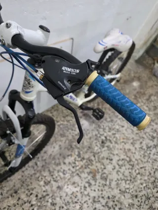 Bicicleta Montaña 24 Wolfbike Venus