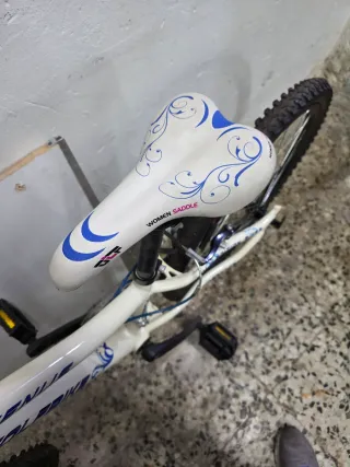 Bicicleta Montaña 24 Wolfbike Venus