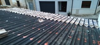 Albañil/Pintor profesional