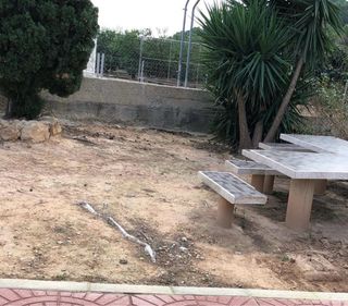 Albañil/Pintor profesional