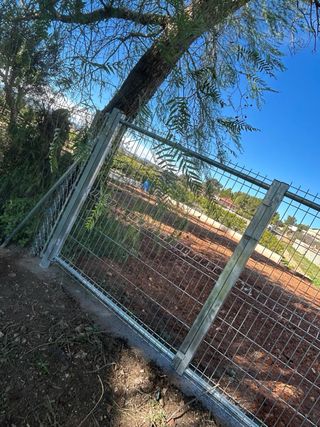 Albañil/Pintor profesional