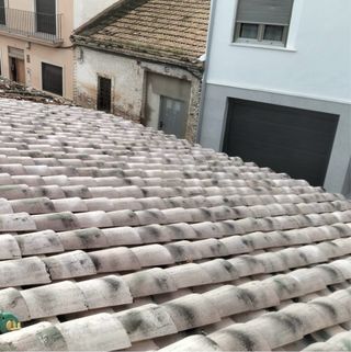 Albañil/Pintor profesional