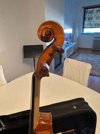 Violino 4/4