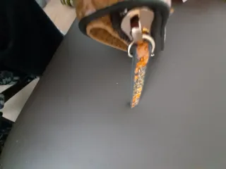 Carterita Parfois efecto piel serpiente