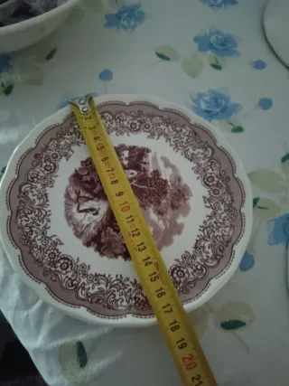 Servizio 6 Piatti Porcellana Swiss L