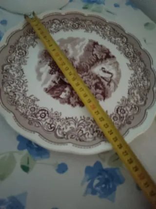 Servizio 6 Piatti Porcellana Swiss L