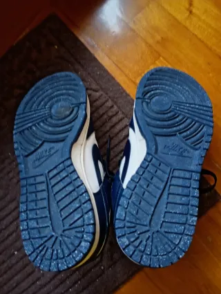 Nike Dunk Scarpe Blu e Bianche n. 39