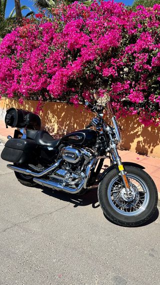 Harley Davidson 1200 XL Custom. Almería.