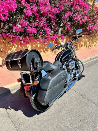 Harley Davidson 1200 XL Custom. Almería.